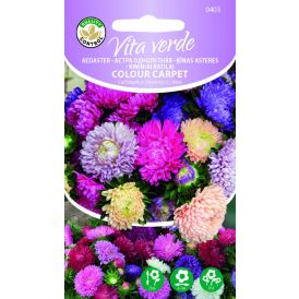 Aedaster Colour Carpet segu