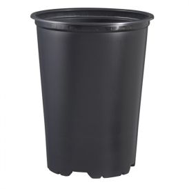 Roosipott Teku 2 l, 14 x 18 cm