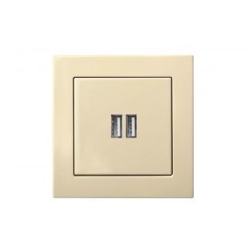 USB-laadija/pesa Epsilon 2-ne beež, raamita