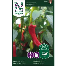 Tšillipipar Nelson Garden Hyper F1