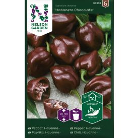 Tšillipipar Habanero Choco