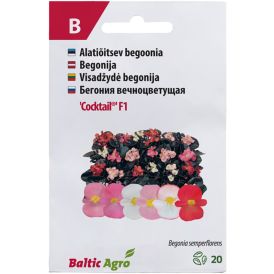 Begoonia Cocktail