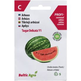 ARBUUS SUGAR DELICATA F1, 5S CITRULLUS L