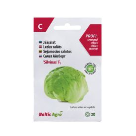 Jääsalat Silvinas F1