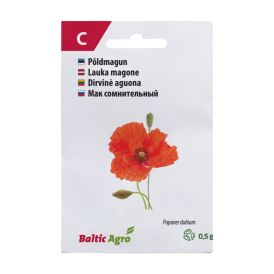 Magun, põldmagun