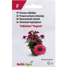 Siilkübar PollyNation Magenta