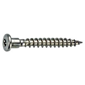 Nurgakruvi Fix master ruspert TX20 4,8 x 40 mm 250 tk