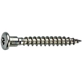 Nurgakruvi Fix master ruspert TX20 4,8 x 50 mm 250 tk