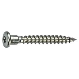 Nurgakruvi Fix master rst A2 TX20 5 x 40 mm 250 tk