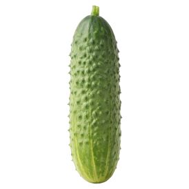 Kurk Solon Ø 9 cm