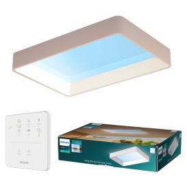LED-laevalgusti Philips Skylight