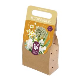 Kevadel õitsevad lillesibulad Kapiteyn Nectar Flowers 40 tk, valge