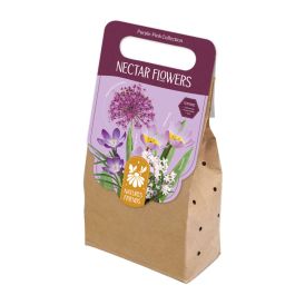 Kevadel õitsevad lillesibulad Kapiteyn Nectar Flowers 40 tk, purpur
