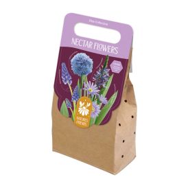 Kevadel õitsevad lillesibulad Kapiteyn Nectar Flowers 40 tk, sinine