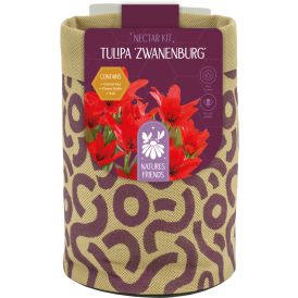Kevadel õitsevad lillesibulad Kapiteyn Tiny Jewels Mix 5 tk, punane