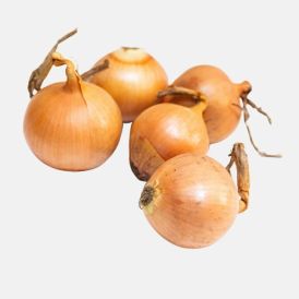 Tippsibul Senshyu Yellow 500 g