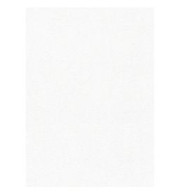 Fliistpeet Erismann Modern Balance Frost 10576-01 10,05 x 0,53 m, valge