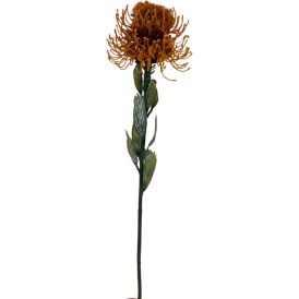 Kunstlill Bloom Deco  protea valik11 × 11 × 60 cm