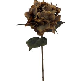 Kunstlill Bloom Deco Hortensia  oks 24 x 14 x 54 cm, pruun