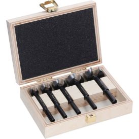Forstner puidupuuride komplekt Bosch Expert Wood 5-osaline