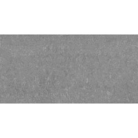 Põrandaplaat RAK Ceramics Futura 30 x 60 cm läikiv antratsiit