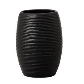 Tops Venus Linea
