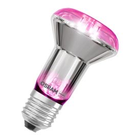 LED-taimelamp Osram Star Filament 100° 7.5W E27