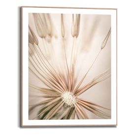 Sisustuspilt Reinders Dandelion Heart 40 x 50 cm