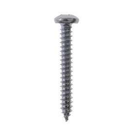 Plekikruvid Profi Depot ümarpea DIN7981, ZN, 2,9 x 13 mm 200 tk