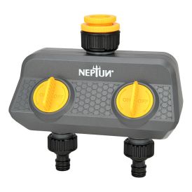 Kaksik kraaniliitmik Neptun
