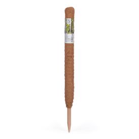 Taimetugi 70 cm