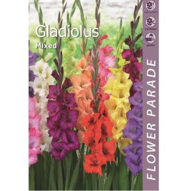 Gladioolide Mix 7 tk