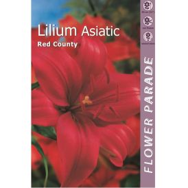 Aasia liilia Red County 1 tk