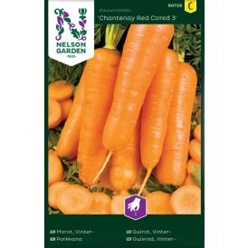 Porgand Chantenay Red Cored 3