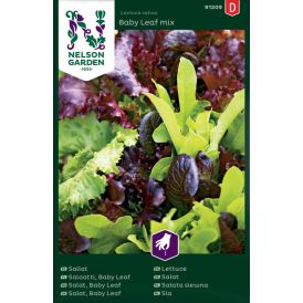 Salat Baby Leaf mix