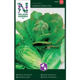 Lehtsalat Lobjoit's Green Cos
