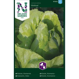 Lehtsalat Globus