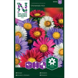 Hiina aedaster Chinensis mix