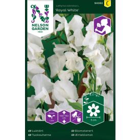 Lillehernes Royal White