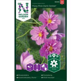 Kosmos Fizzy Pink Dark Center