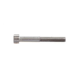 Sisekuuskantpoldid Profi Depot DIN912 A2, 6 x 30 mm, 100 tk