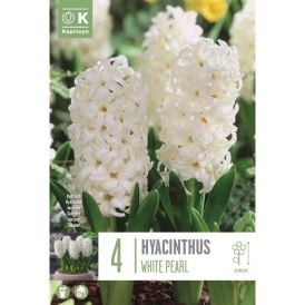 Hüatsint White Pearl 4 tk
