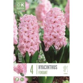 Hüatsint Fondant 4 tk