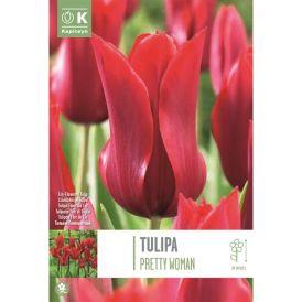 Tulp Pieter de Leur 8 tk