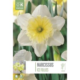 Nartsiss Ice Follies 5 tk