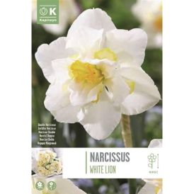Nartsiss White Lion 5 tk
