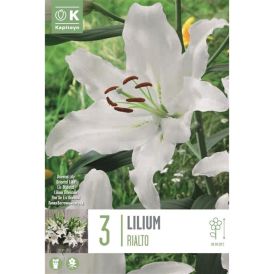 Liilia Rialto 3 tk