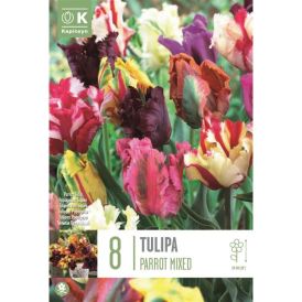 Tulbid Parrot mixed 8 tk