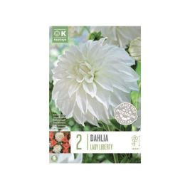 Daalia Lady Liberty 2 tk