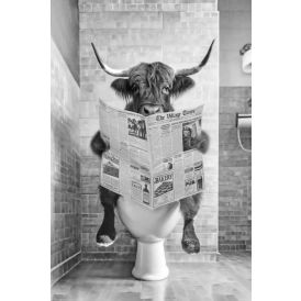 Poster Rainders Highlander Toilet 015